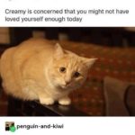 wholesome-memes cute text: themagicalladycat Creamy is concerned that you might not have loved yourself enough today penguin-and-kiwi I