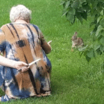 Grandma hiding knife from bunny animal meme template blank bunny, rabbit, boomer
