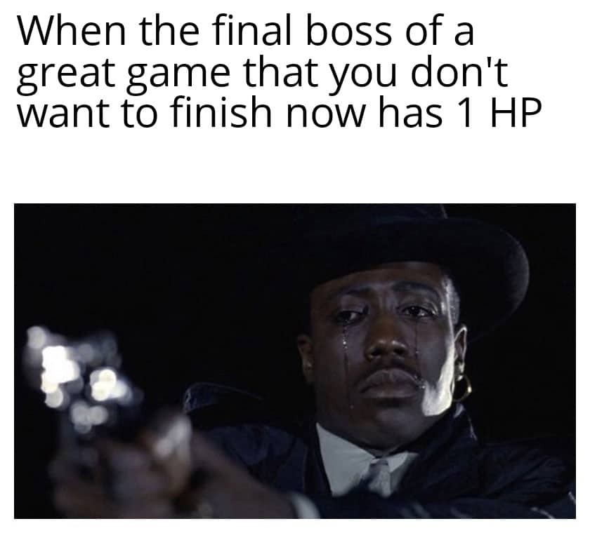 other other-memes other text: When the final boss of a great game that you don't want to finish now has 1 HP 
