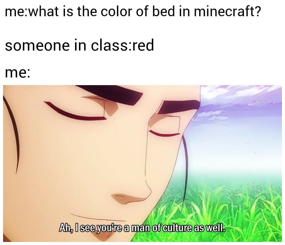 minecraft minecraft-memes minecraft text: me:what is the color of bed in minecraft? someone in class:red me: Ah, I see ypu\re a man of culture as well'. 