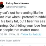 wholesome-memes cute text: Pickup Truck Heaven @BonerPolice6969 My cat