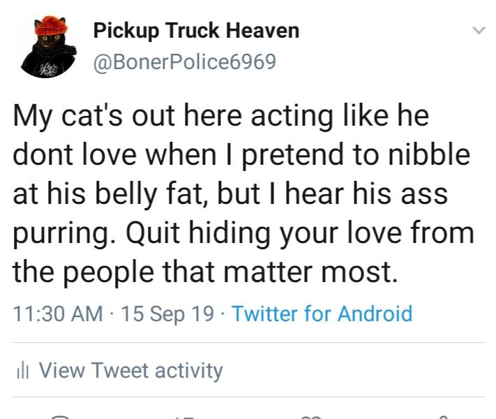 cute wholesome-memes cute text: Pickup Truck Heaven @BonerPolice6969 My cat's out here acting like he dont love when I pretend to nibble at his belly fat, but I hear his ass purring. Quit hiding your love from the people that matter most. 11:30 AM • 15 sep 19 • Twitter for Android Ill View Tweet activity 