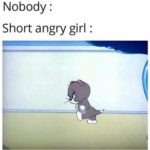 other-memes cute text: Nobody : Short angry girl :  cute