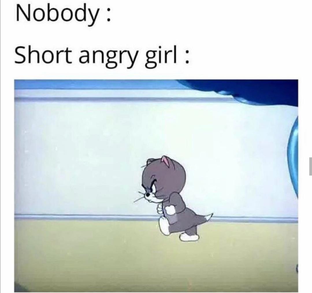 cute other-memes cute text: Nobody : Short angry girl : 