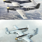 history-memes history text: F-82 Twin Mustang F-82 spin Mustang  history
