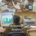 depression-memes depression text: SerotonTn Receptors  depression