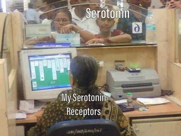 depression depression-memes depression text: SerotonTn Receptors 