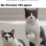 christian-memes christian text: Me: *looks up Genesis 38:8-10 instead of porn online* My Christian FBI agent:  christian