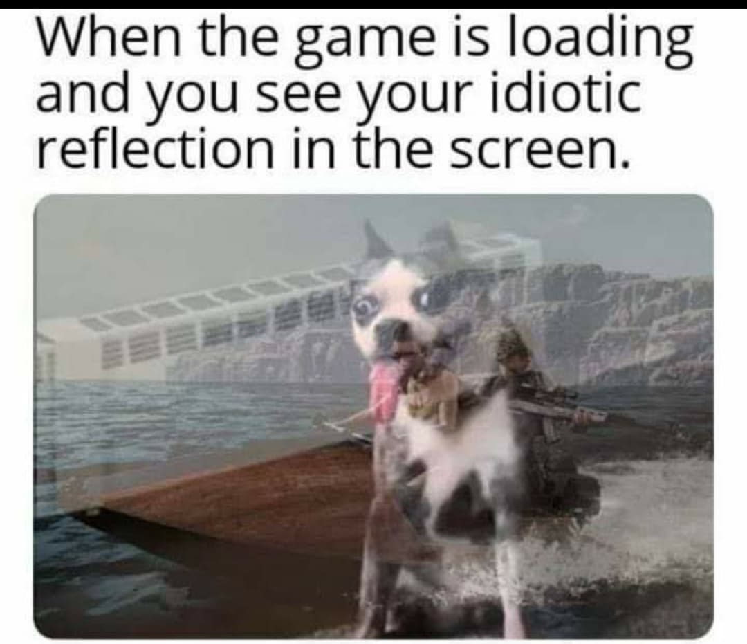 cute other-memes cute text: When the game is loading and you see your idiotic reflection in the screen. 