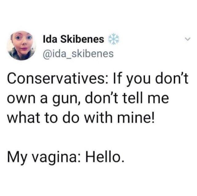 political political-memes political text: Ida Skibenes @ida_skibenes Conservatives: If you don't own a gun, don't tell me what to do with mine! My vagina: Hello. 