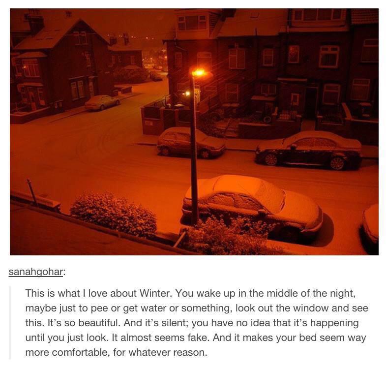 cute wholesome-memes cute text: sanahgohar: This is what I love about Winter. You wake up in the middle of the night, maybe just to pee or get water or something, look out the window and see this. It's so beautiful. And it's silent; you have no idea that it's happening until you just look. It almost seems fake. And it makes your bed seem way more comfortable, for whatever reason. 
