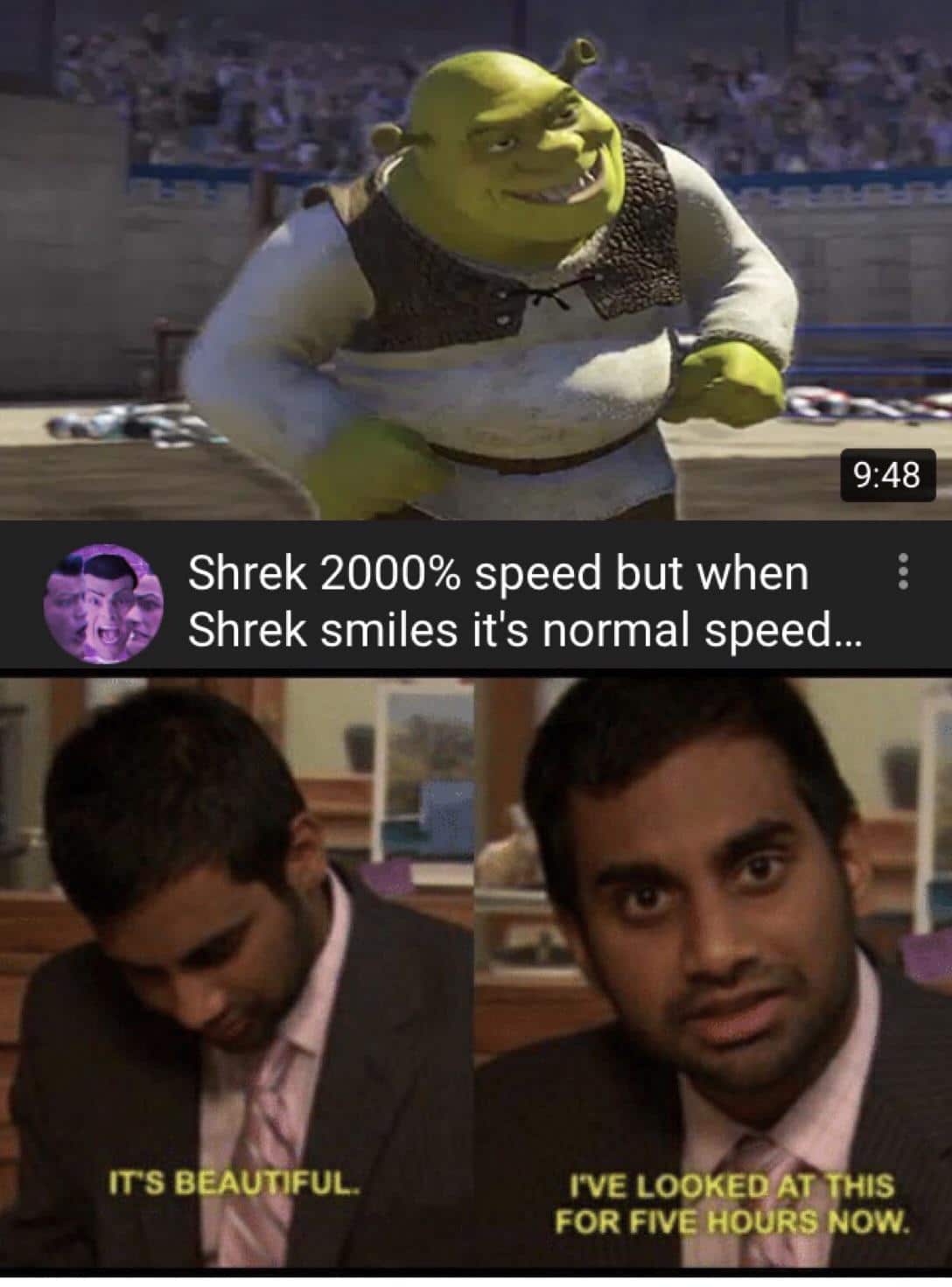 Dank Meme dank-memes cute text: 9:48 Shrek 2000% speed but when Shrek smiles it's normal speed... ms BEAU FUL WE LOOKED AT THIS FOR FIV HOdRS NOW. 
