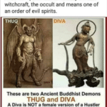 political-memes political text: The word diVa(whiCh IS actual y pronounced as 