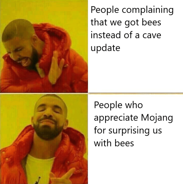 minecraft minecraft-memes minecraft text: People complaining that we got bees instead of a cave update People who appreciate Mojang for surprising us with bees 