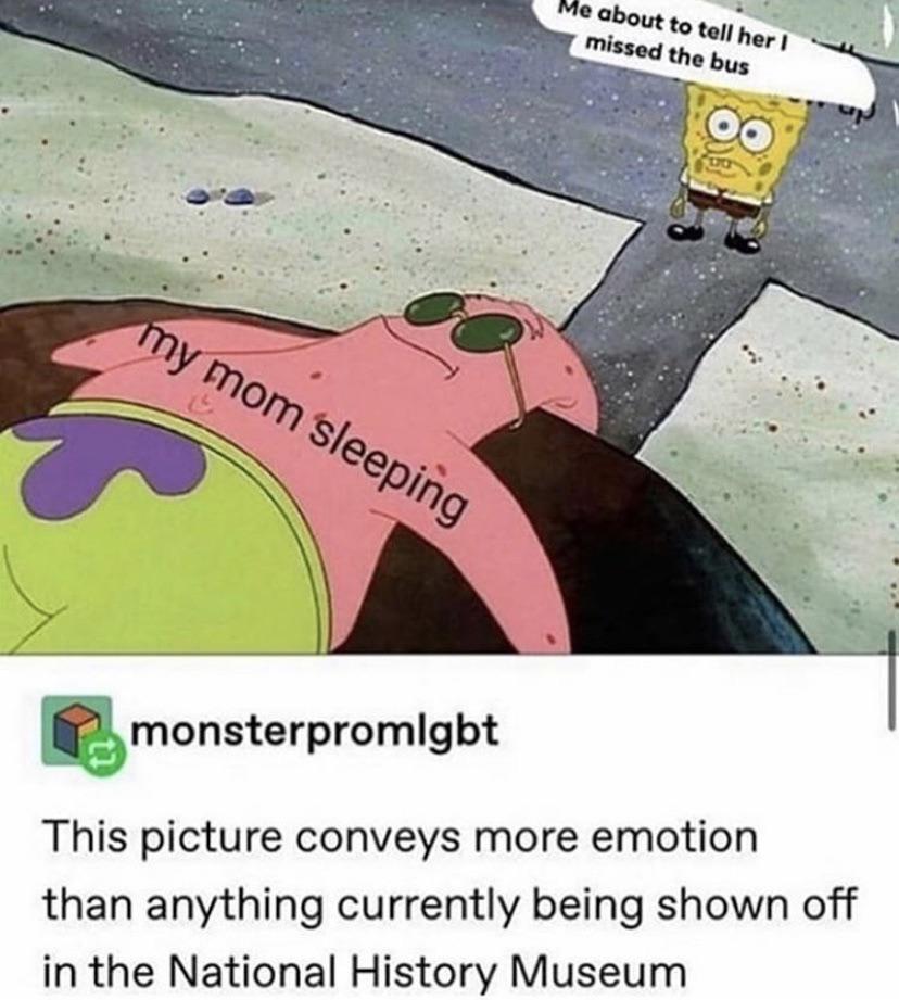 spongebob spongebob-memes spongebob text: about to tell her missed the bus monsterpromlgbt This picture conveys more emotion than anything currently being shown off in the National History Museum 