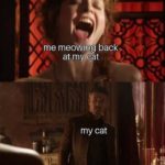 game-of-thrones-memes game-of-thrones text: me meowing back. at my cat my cat Do you have am idea how ridiculous you sound?  game-of-thrones