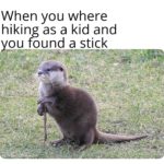 other-memes cute text: When you where hiking as a kid and ou found a stick  cute