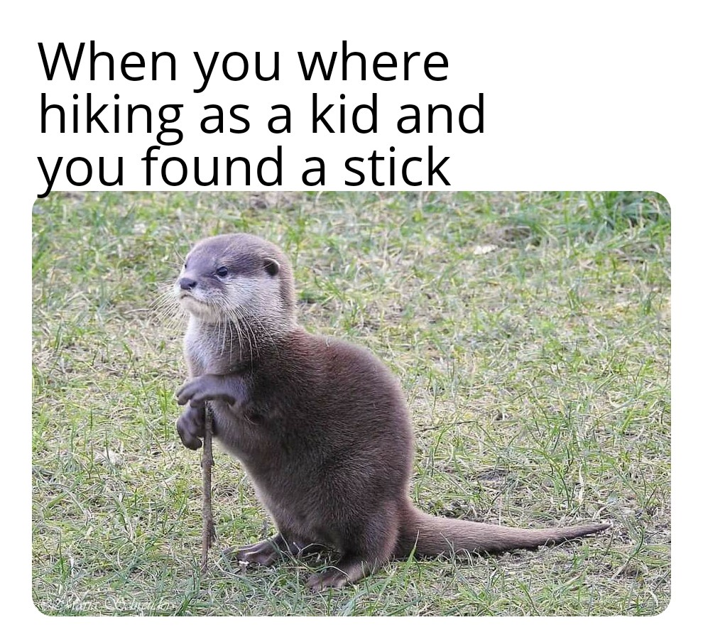 cute other-memes cute text: When you where hiking as a kid and ou found a stick 