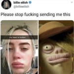 other-memes cute text: billie eilish @billieeilish Please stop fucking sending me this my heart is broken  cute