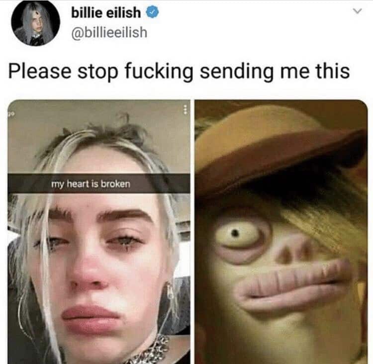 cute other-memes cute text: billie eilish @billieeilish Please stop fucking sending me this my heart is broken 