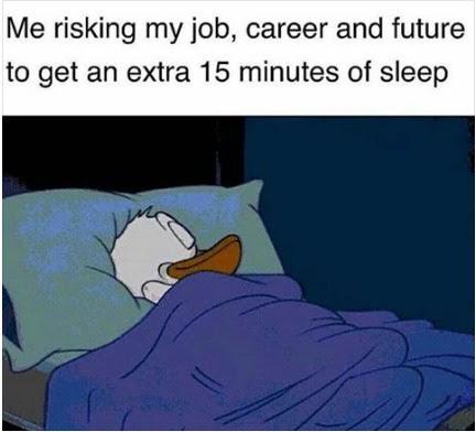 cute other-memes cute text: Me risking my job, career and future to get an extra 15 minutes of sleep 