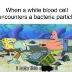 spongebob-memes spongebob text: When a white blood cell encounters a bacteria particle I hate this c  spongebob