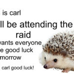 other-memes cute text: this is carl carl will be attending the raid he also wants everyone to have good luck tomorrow wish carl good luck!  cute