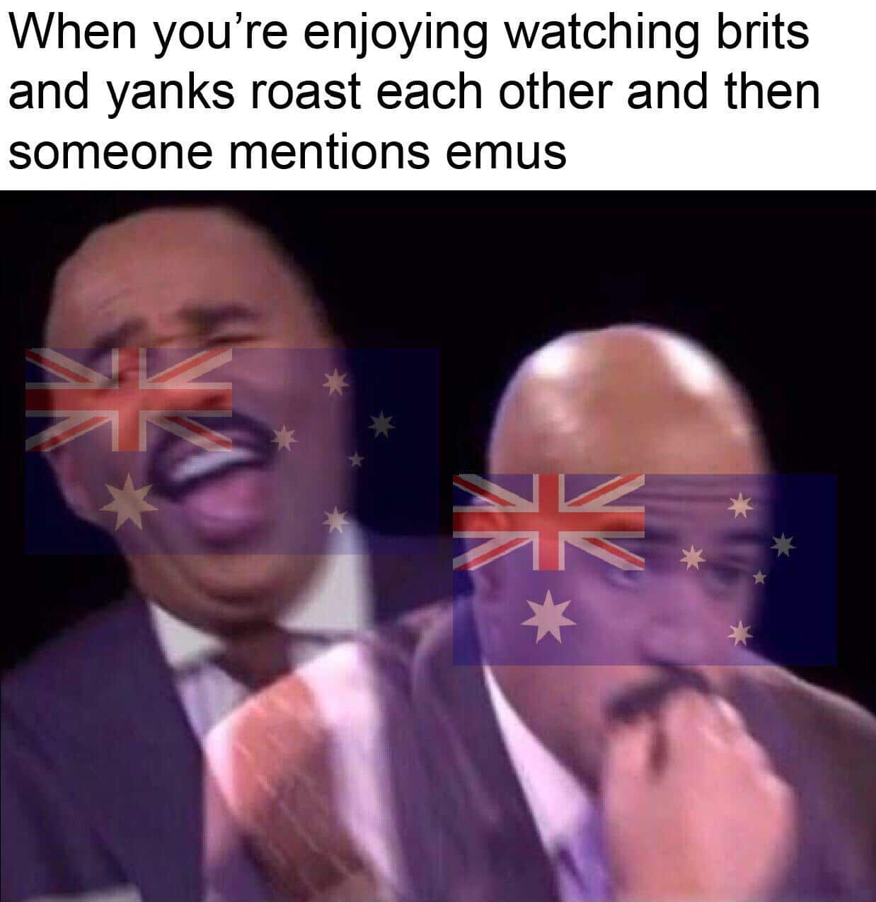 history history-memes history text: When you're enjoying watching brits and yanks roast each other and then someone mentions emus 