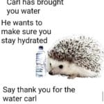 water-memes thanos text: Carl has brought you water He wants to make sure you stay hydrated Say thank you for the water carl  thanos