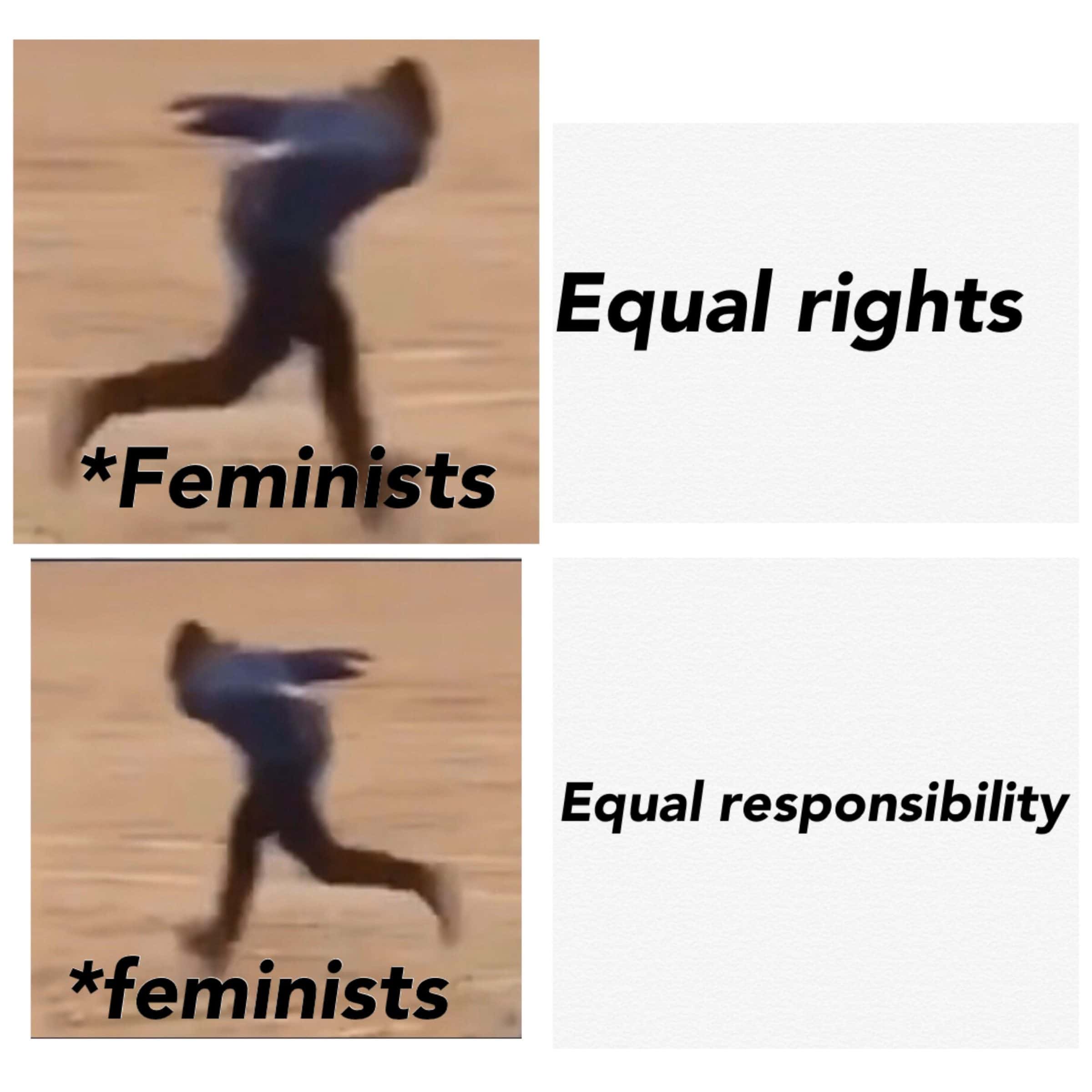 cute other-memes cute text: *Feminists *feminists Equal rights Equal responsibility 