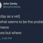 wholesome-memes cute text: John Darby @mriohndaiby [first day as a vet] me: what seems to be the problem cat: meow me: yes but where 9/8/18, 3:40 PM  cute