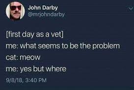 cute wholesome-memes cute text: John Darby @mriohndaiby [first day as a vet] me: what seems to be the problem cat: meow me: yes but where 9/8/18, 3:40 PM 