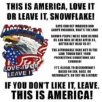 political-memes political text: THIS IS AMERICA, LOVE IT OR LEAVE IT, SNOWFLAKE! LOV d LEAVE GAYS CAN GET MARRIED AND ADOPT CHILDREN, THAT