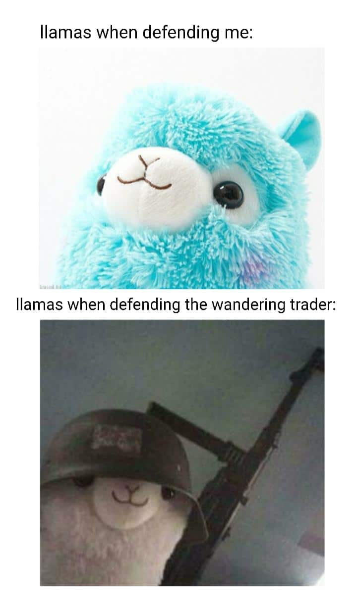 minecraft minecraft-memes minecraft text: llamas when defending me: llamas when defending the wandering trader: 