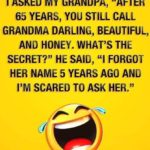 boomer-memes boomer text: I ASKED MY GRANDPA, "AFTER 65 YEARS, YOU STILL CALL GRANDMA DARLING, BEAUTIFUL, AND HONEY. WHAT