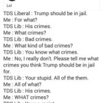political-memes political text: 0+ Sunday at 2:11 PM •e Lol T DS Liberal : Trump should be in jail. Me : For what? T DS Lib : His crimes. Me : What crimes? T DS Lib : Bad crimes. Me : What kind of bad crimes? T DS Lib : You know what crimes. Me : No, I really don