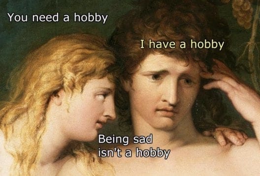 depression depression-memes depression text: You need a hobby I have a hobby Being sad isn't a hobby 
