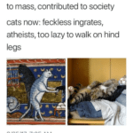 christian-memes christian text: cats in middle ages: diligent, went to mass, contributed to society cats now: feckless ingrates, atheists, too lazy to walk on hind legs 9/25/17, 7:05 AM  christian