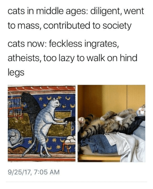 christian christian-memes christian text: cats in middle ages: diligent, went to mass, contributed to society cats now: feckless ingrates, atheists, too lazy to walk on hind legs 9/25/17, 7:05 AM 