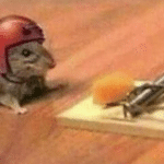 Meme Generator – Mouse trap