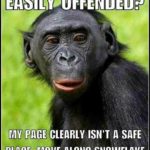 political-memes political text: OFFENDED? MY CLEARLY ISN