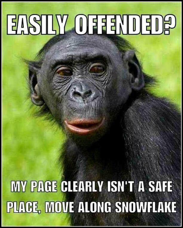 political political-memes political text: OFFENDED? MY CLEARLY ISN'T A SAFE ALONG SNOWFLAKE 