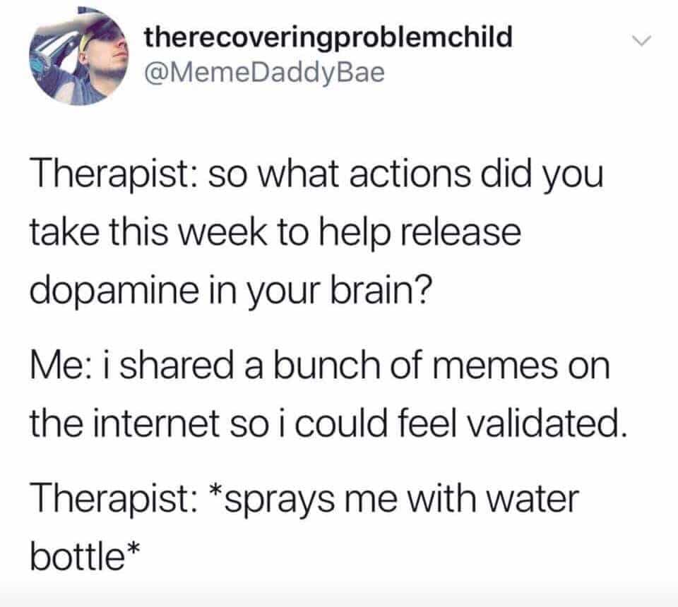 depression depression-memes depression text: therecoveringproblemchild @MemeDaddyBae Therapist: so what actions did you take this week to help release dopamine in your brain? Me: i shared a bunch of memes on the internet so i could feel validated. Therapist: *sprays me with water bottle* 
