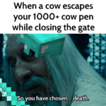 minecraft-memes minecraft text: When a cow escapes your 1000+ cow pen while closing the gate So you have chosen... death. u/robert712002  minecraft