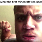 minecraft-memes minecraft text: What the first Minecraft tree sees  minecraft