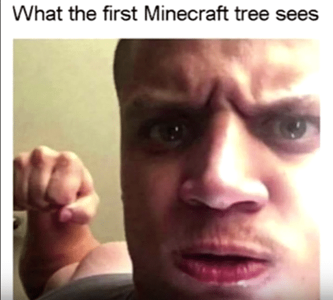 minecraft minecraft-memes minecraft text: What the first Minecraft tree sees 