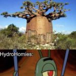 water-memes thanos text: The Baobab Tree can hold 32 Thousand Gallons of Water! HydroHomies: YES  thanos