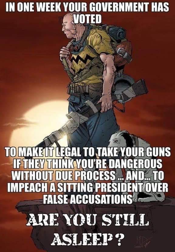 political political-memes political text: IN ONE WEEK YOUR GOVERNMENT HAS ovoTED TO MAKE IT LEGAL TOJAKE YOUR GUNS YOU'RE DANGEROUS WITHOUTDOUE PROCÉSS '1. AMD... TO IMPEACH A SITTING PRESIDENT OVER FALSE ACCUSATIONS4 ARE YOU STILL ASLEEP? 