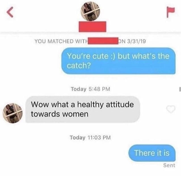 nsfw offensive-memes nsfw text: YOU MATCHED WITH N 3/31/19 You're cute :) but what's the catch? Today 5:48 PM Wow what a healthy attitude towards women Today 11:03 PM There it is Sent 