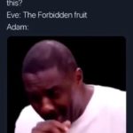 christian-memes christian text: Adam: This shit fire, which fruit is this? Eve: The Forbidden fruit Adam:  christian